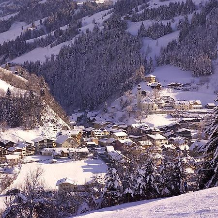 Апартаменти Kleinellmauhof Гросарль Екстер'єр фото